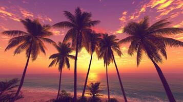 Tropical Sunset Beach With Palm Trees photo