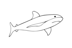 A hand-drawn shark illustration, predator. Isolated on white background. vector