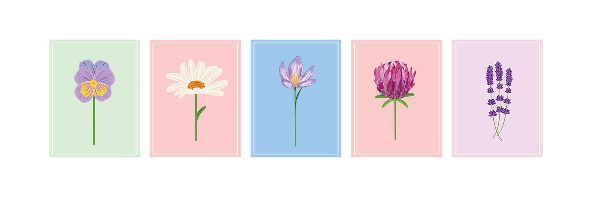 Assorted floral cards featuring seasonal blossoms in minimalist outline illustration style