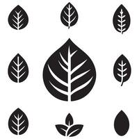 A set of a black and white leaves icons design on a white background vector