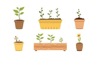 Set of colorful spring garden plants in pots. Isolated on white background. Floral elements. Greenery in a pot in flat style. vector