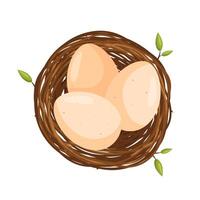 Three eggs in the bird nest. View from above. illustration in flat cartoon style. vector