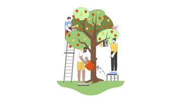 Community apple harvest cartoon animation. Watering tree, installing birdhouse. Diverse people picking fruits from appletree animated flat 2D characters 4K isolated on white, scene storytelling video