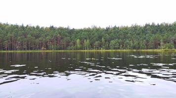 Serene lake surface ripples with tranquil forest backdrop video