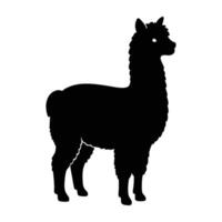 Delightful alpaca standing with small fluffy body line art silhouette isolated on white background design vector