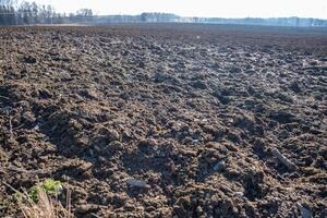 Wide view of a plowed field under a clear sky, farming and cultivation scene photo