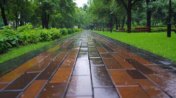 Rainy Day Park Pathway Wet Brick Walkway, Lush Green Trees photo