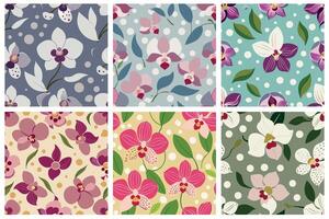 A set of six different orchid floral patterns vector