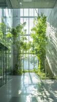 A large glass walled building with trees and plants photo