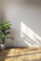 An empty room with a wooden floor and a potted plant photo