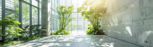 A hallway with plants and sunlight in the middle photo