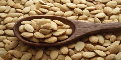 Almonds are a good source of vitamin e photo