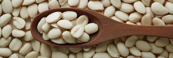 Almond seeds are a good source of omega-3 fatty acids photo