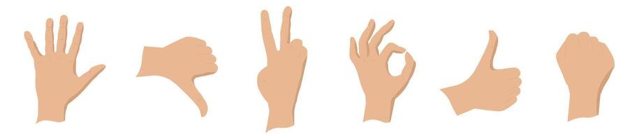 Hands show different signs. Hands in different positions. vector