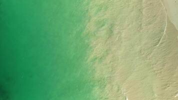 Aerial top down view of the minimalist silhouettes of palm tree shadows on a tropical beach in Punta Cana. The sandy shore is fringed with palms, leading to a clear turquoise ocean. video