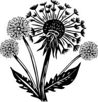 Dandelion seeds illustration in hand drawn style vector