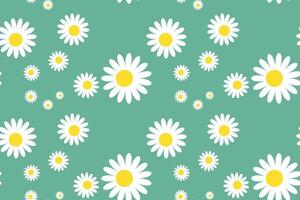 Blossom Daisy Pattern Drawing. Modern Seamless Pattern of White Daisies on Color Background. vector