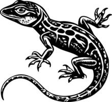 Lizard illustration in hand drawn style vector