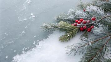Frosty winter branch with vibrant red berries encased in ice, symbolizing seasonal beauty in nature. photo
