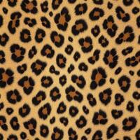 Image of a leopard print pattern photo