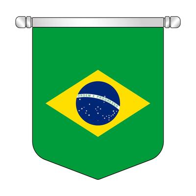 Brazil national hanging pennant flag