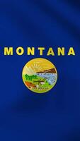 Vertical, portrait, waving national flag of Montana. Smooth animation with highly detailed, realistic animated background for social media, screens smartphone. Official colors, cloth motion. video