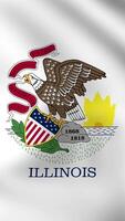 Vertical, portrait, waving national flag of Illinois. Smooth animation with highly detailed, realistic animated background for social media, screens smartphone. Official colors, cloth motion. video