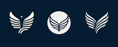 Three different types of leaves and leaves on a dark background vector