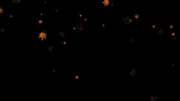 Autumn, background with multiple kinds of autumn leaves falling, abstract background video