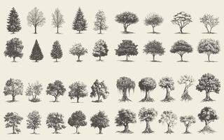 Diverse range of tree silhouettes showcasing botanical variety and elegant design aesthetic vector