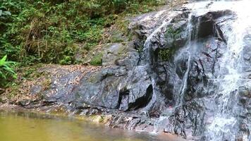 Ton Chongfa Waterfall river in tropical nature with green water in Thailand. video