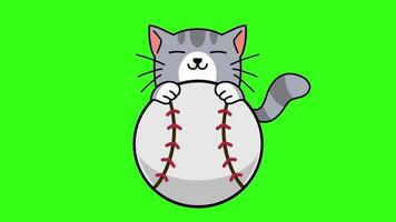 cat with baseball good for logo, sticker, element , loop , emoticon, etc video