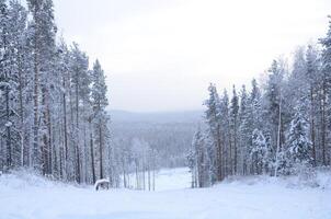 Winter landscape, trees in frost and snow, view from a hill in winter photo