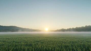 Serene sunrise over a lush green field with mist rising, capturing the tranquil beauty of a new day in the countryside. photo
