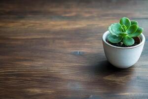 Simple indoor gardening still life featuring a succulent in a white pot on a rich wood surface photo