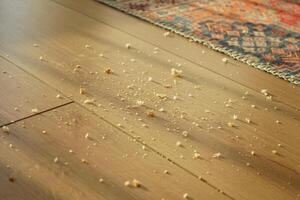 Dust and crumbs scattered on wooden floor near a colorful rug photo