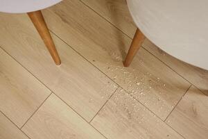Crumbs scattered on wooden floor beneath a table photo