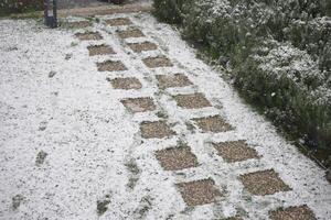 Snow covers a garden path in a residential area during winter photo
