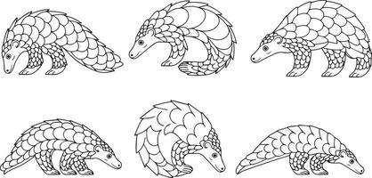Set Of Pangolin Variations vector