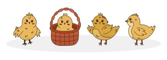 Cartoon doodle set with lovely chick in different poses. Young baby chicken waving hello with wings, in the basket, side view. Cheerful hand drawn farm bird as symbol of Easter isolated on background vector