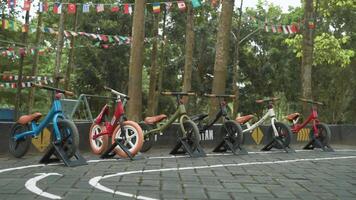 A row of bicycles in a park with trees and flags video