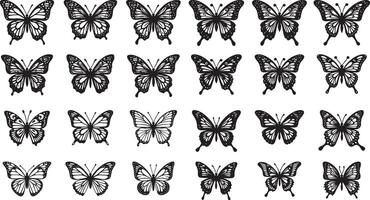 Elegant Butterfly Silhouette with Intricate Patterns vector