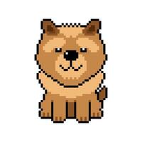 Pixel art a cute chow chow dog in retro style vector