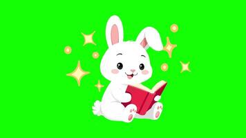 a cartoon rabbit sitting on a branch reading a book with green screen video