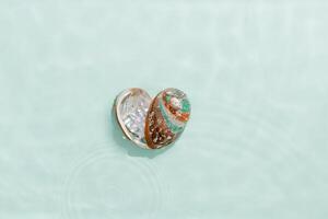 Minimal aesthetic still life, heart shape pearlescent seashells at sunlight, waves seawater, natural beauty organic forms. Shell as symbol of love, travel, tourism visual, vacation rest concepts photo