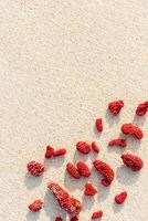 Natural Red Corals Composition on beach sand background. Minimal flat lay of coral pieces on sandy coastal sea. Creative top view photo pattern at sunlight. Tranquil, harmony scene