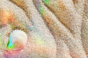 Close up of white seashell on textured light beige sand with colorful rainbow reflections, summer and seaside atmosphere, minimal style aesthetic nature photo, relaxation, wellness concept photo