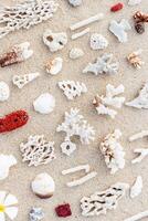 Seashells and Corals Composition on beach sand background. Minimal flat lay pattern of variety of sea shells, white and red coral pieces on sandy shore. Creative top view of natural sea life photo