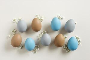 Pastel Easter Eggs as minimal pattern with white blooming Flowers on beige color, top view colorful chicken egg. Easter celebration concept. Festive food, still life holiday, aesthetic flat lay photo