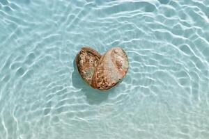 Colored abalone shells with pearlescent colors at seawater waves summer background at sunlight, gentle ripples and peaceful, oceanic scene. Seashells heart shaped, concept life, relaxation, travel photo